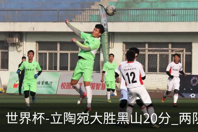世界杯-立陶宛大胜黑山20分 两队携手晋级16强