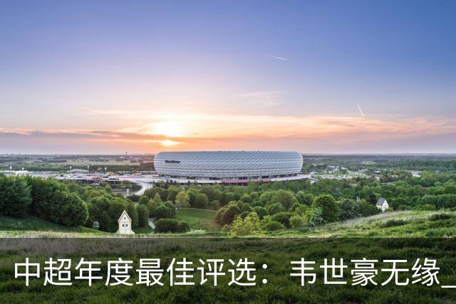 中超年度最佳评选：韦世豪无缘 30人入围金球奖5人争金帅