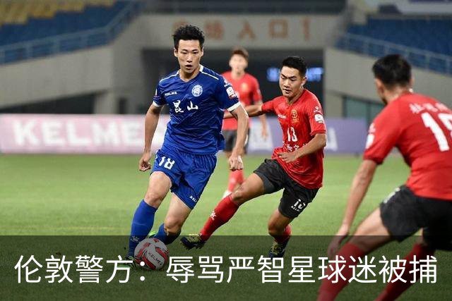 伦敦警方：辱骂严智星球迷被捕
