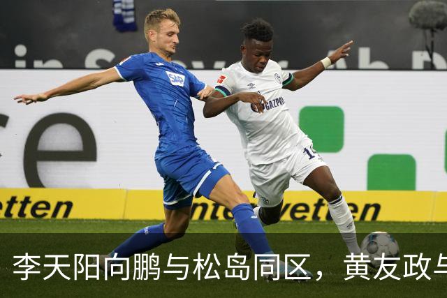 李天阳向鹏与松岛同区，黄友政与张本同区；蒯曼与桥本同区