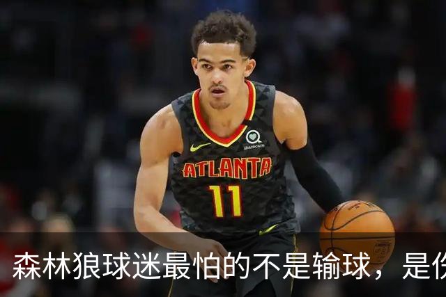 森林狼球迷最怕的不是输球，是伤病：一次投票投出了真心话