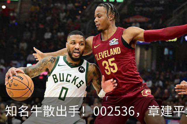 知名牛散出手！002536，章建平大举买入