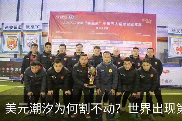 美元潮汐为何割不动？世界出现第二个“美联储”，全球规则正重写