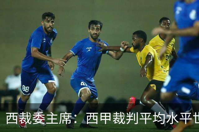 西裁委主席：西甲裁判平均水平世界最佳，误判过去现在未来都会有